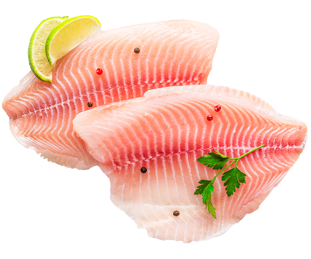 Tilapia 100%